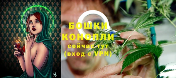 apvp Богданович