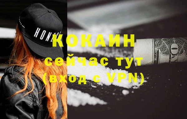 молекула духа Бородино