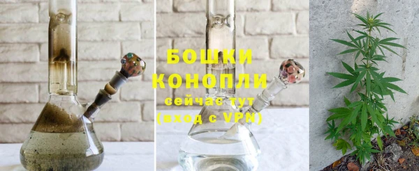 apvp Богданович